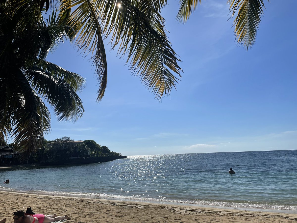 iluvweekends's tweet photo. Island Life! #Roatan #Honduras https://t.co/YLwq4w0MPN