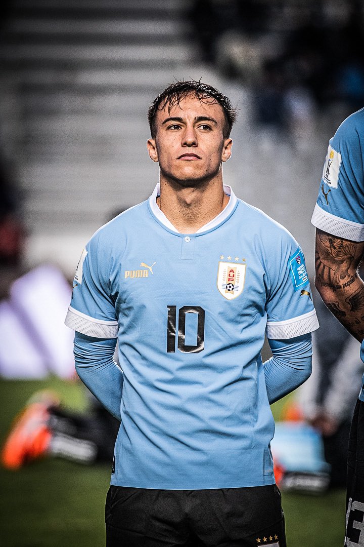 Danubio Fútbol Club tweet media
