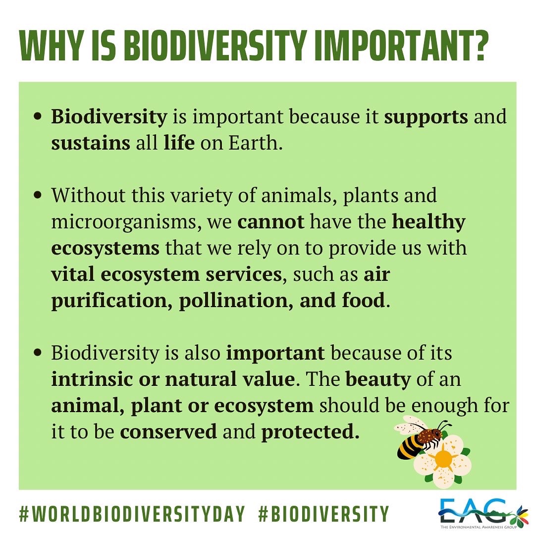 EAGAntigua's tweet photo. Biodiversity is crucial for the functioning of ecosystems and for human well-being🐍🐧🌳👨👩👧👦
Let's all do our part in preserving and promoting biodiversity for a sustainable future!🌎🤝🏿❤️
#worldbiodiversityday #conservation #localconservation #EAGAntigua https://t.co/RhiuVvToQx