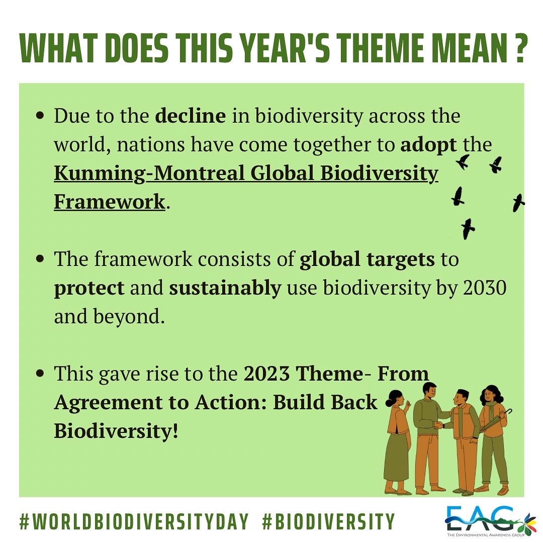 EAGAntigua's tweet photo. Biodiversity is crucial for the functioning of ecosystems and for human well-being🐍🐧🌳👨👩👧👦
Let's all do our part in preserving and promoting biodiversity for a sustainable future!🌎🤝🏿❤️
#worldbiodiversityday #conservation #localconservation #EAGAntigua https://t.co/RhiuVvToQx