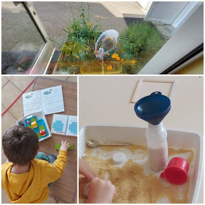 CEIP Plurilingüe de Maceda tweet media