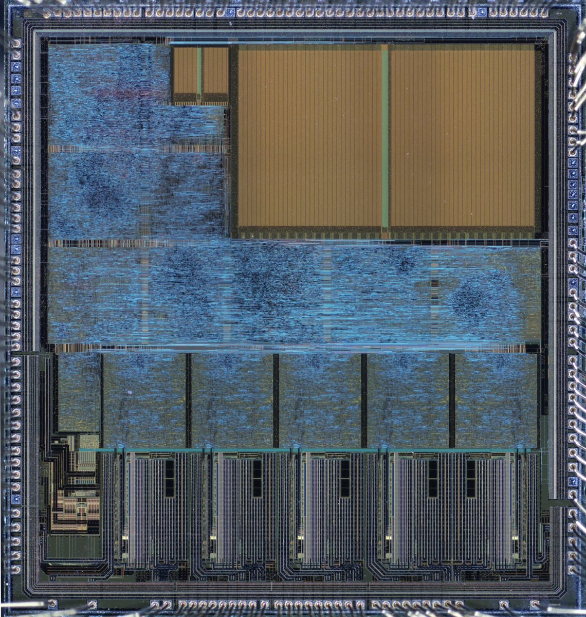 Ryan Ringo tweet media