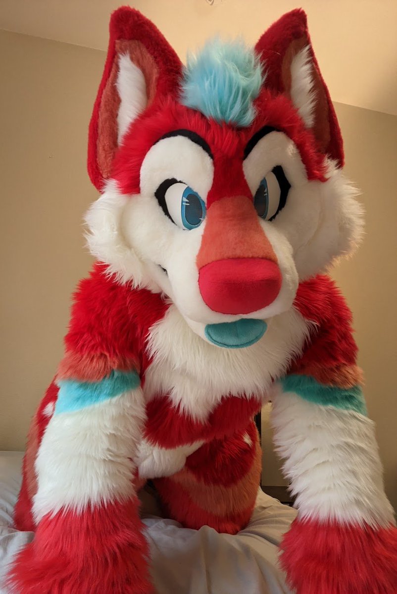 BelsiFox's tweet photo. You like kissing foxes don't you? 🦊😘

🪡: @FreakyStudios 
#furry #FursuitEveryday https://t.co/CptZWkaw5V