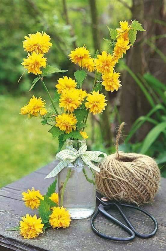 mhmdals04918997's tweet photo. نحن لا ندري أيّ أرض وأيّ قلب وأيّ قرار هو الخير لنا، لكننا نؤمن أنّ الخير فيما اختاره الله لنا
#صباح_الخير https://t.co/iy5sXiFDH5
