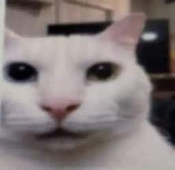 605! | ✶ inactivas tweet media