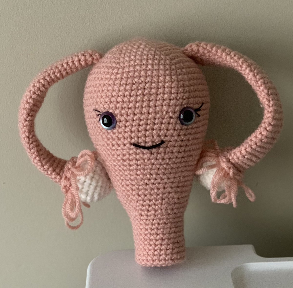 SammichStitches's tweet photo. Uterus #4 😂 
Is it weird to gift multiple people crochet uteruses?

#crochettwitter https://t.co/aKYhtbBqB1
