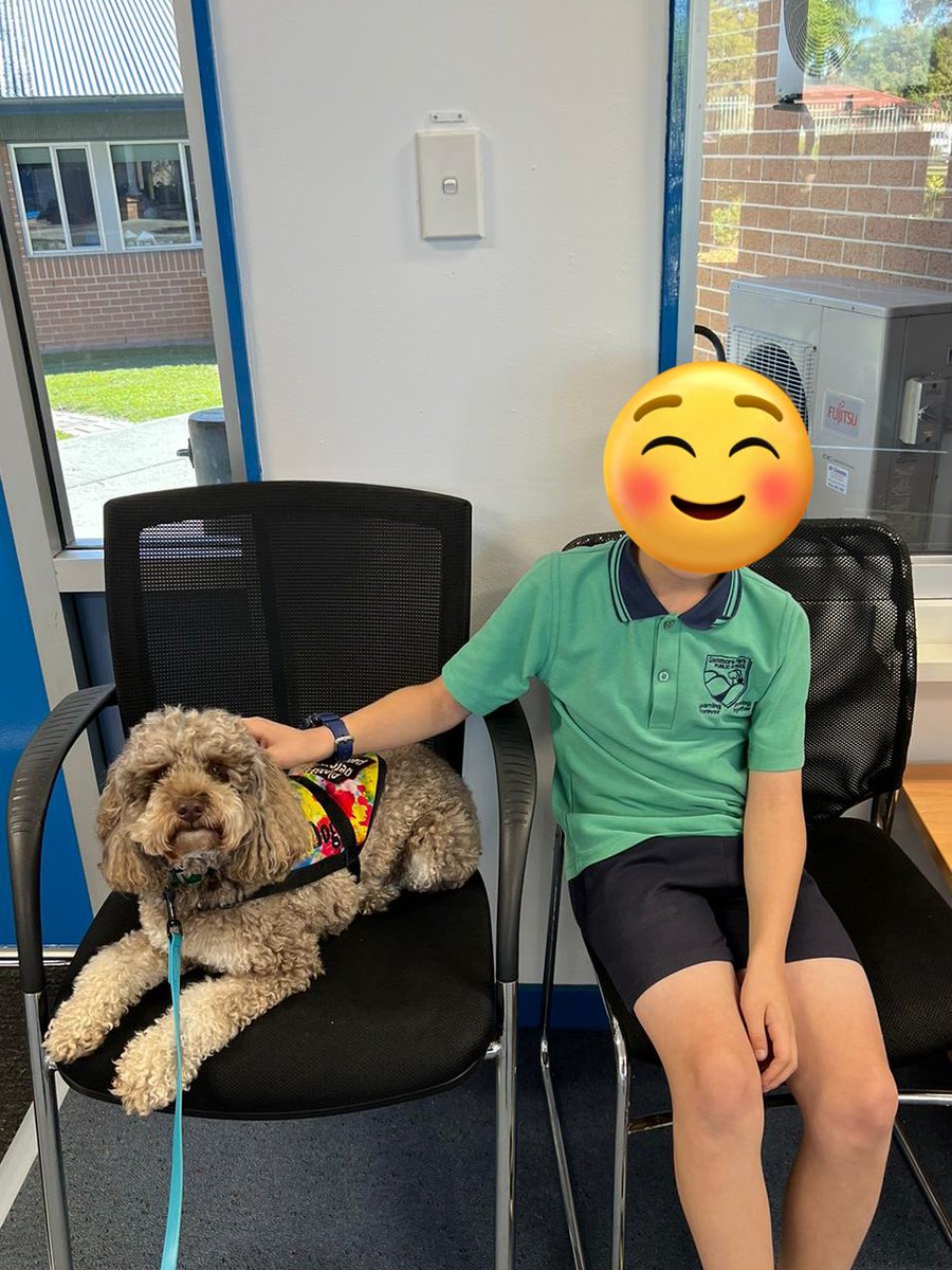 Mowgli is loving the fact that he is allowed on the furniture while having a little downtime with a friend 🐶🥰 #Mowgli #downtime #schooldog #dogsofeducation #dogsofDoE #lovewhatwedo