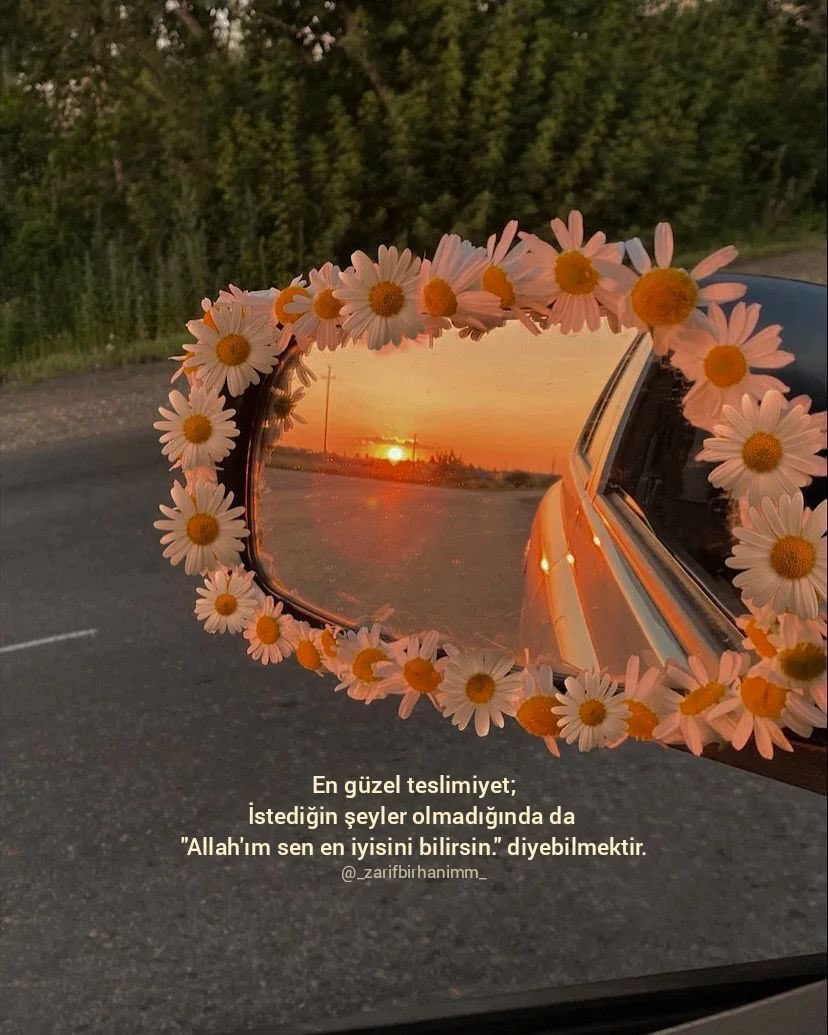 En güzel teslimiyet;
İstediğin şeyler olmadığında da, Allah'ım sen en iyisini bilirsin. diyebilmektir.
Gecemiz Hâyr olsun 
huzurla sağlıkla