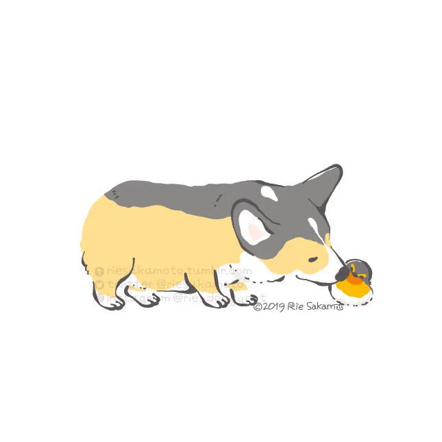 キスの日のコーギーと野鳥たち  #キスの日