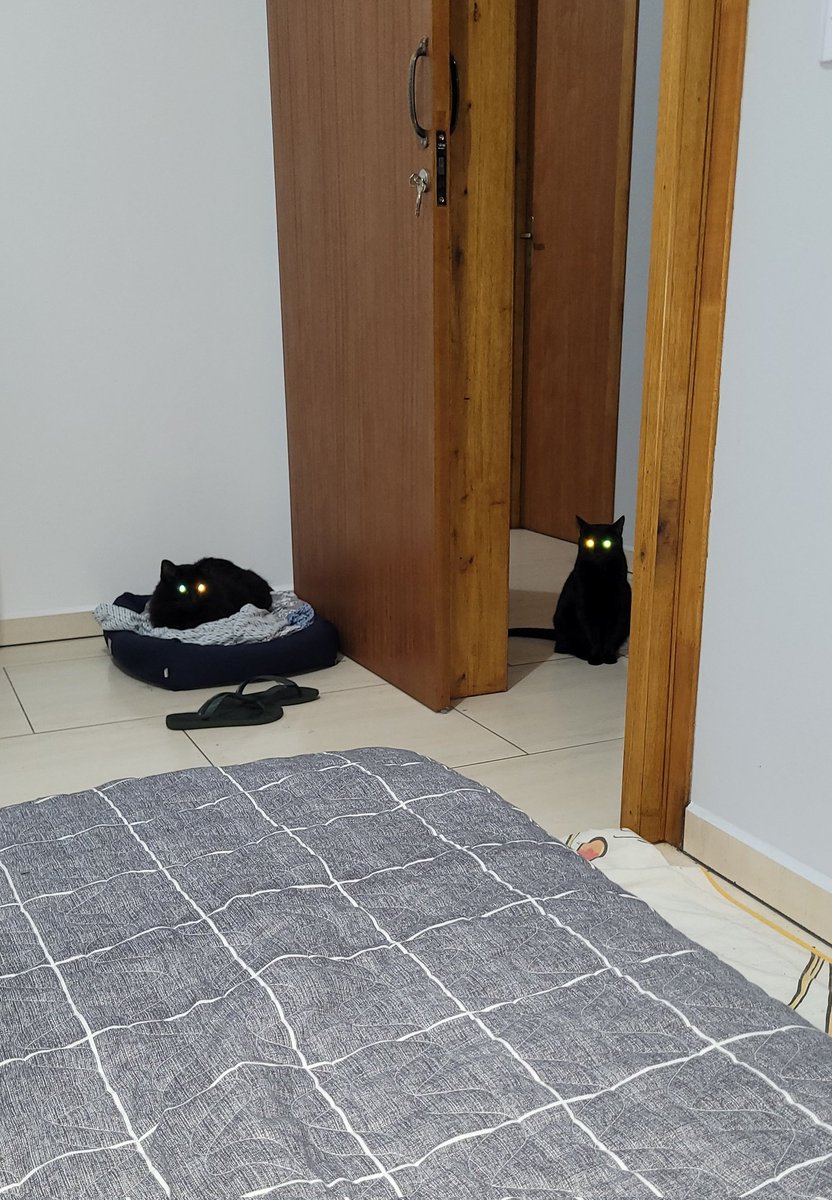 Volkswagenitalia (@k1dsbackpack) on Twitter photo 