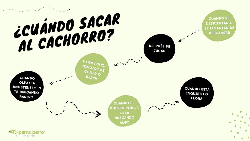 De perro a perro tweet media