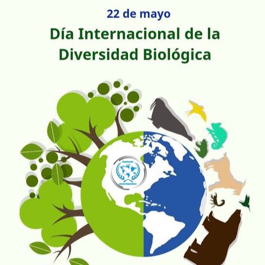 #DiaDeLaBiodiversidad 

Preservar la #Biodiversidad y tomar medidas para alcanzar los objetivos del #AcuerdoDeParís son acciones interconectadas.

'Sabemos que podemos hacer mucho más, y debemos hacer mucho más'.