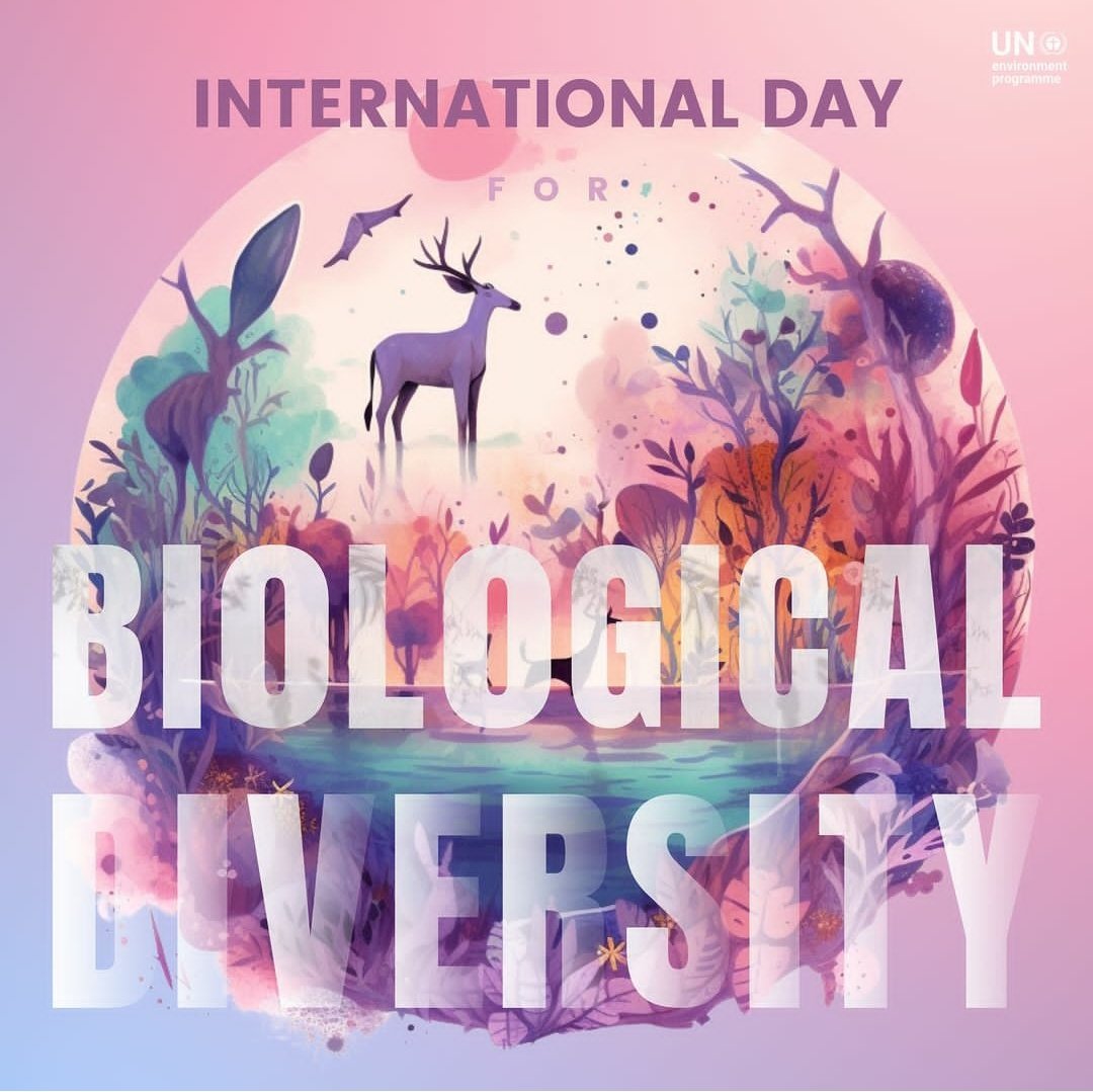 DesardaSangita's tweet image. From the TINIEST Bug to the TALLEST TREE BIODIVERSITY paints a masterpiece that's awe inspiring to see 😍🎄🐛🐞
#InternationalBiodiversityDay #UNClimateChange #UnitedNations