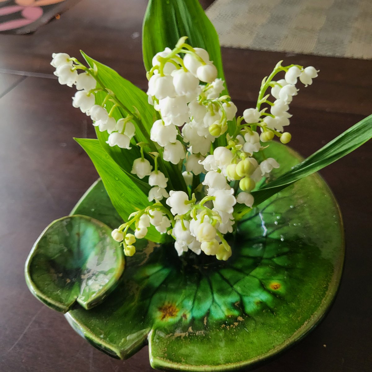 focuscom's tweet photo. Happy birthday to all the May babies, like me! Some Lily of the Valley from our garden. https://t.co/98AkTLNtHq