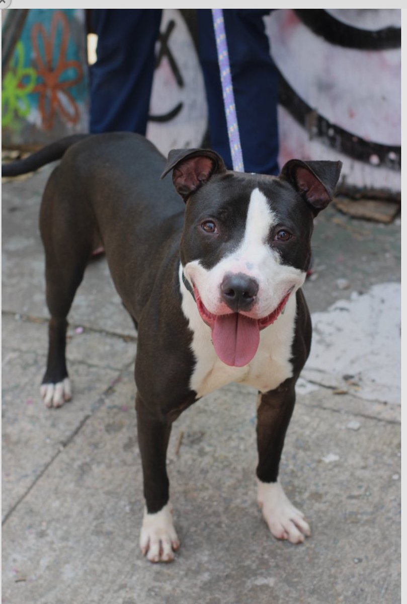 Julie🌻🐾 tweet media