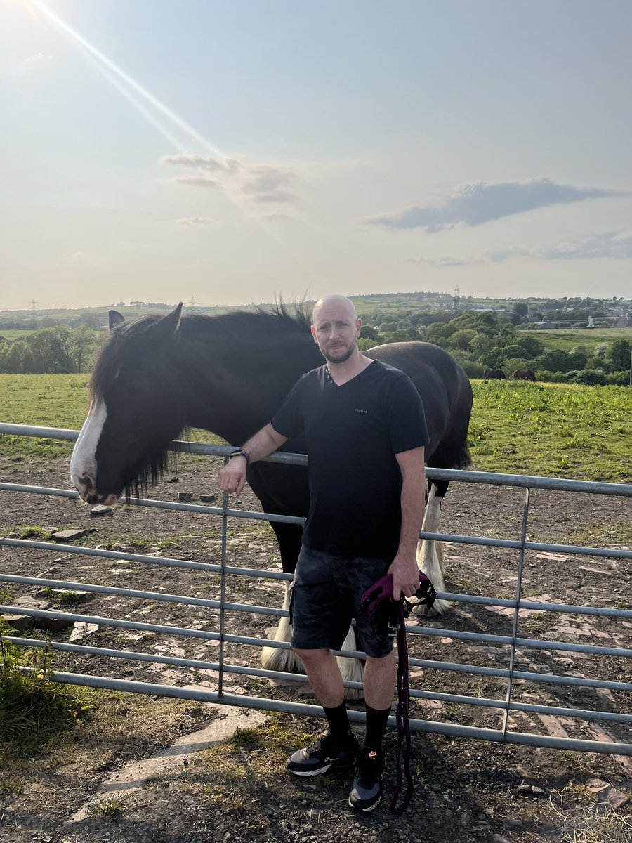 When Gus met Mabel… he is not a farm man in any way, shape or form. He prefers his fields to have a fairway and a bunker or 2 in them 😂 that’s a big horse, he is 6 foot 3!! #mine #shirehorse