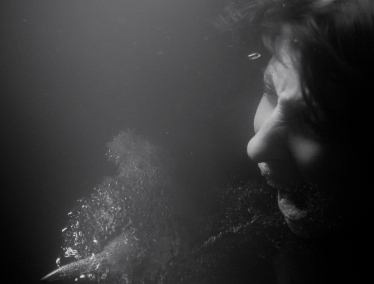 Depeche Mode tweet media