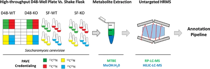 ESchymanski's tweet photo. Super #proudPI tonight to see Lorenzo's work with Carole Linster and @coreymgriffith now published - high throughput stable labeling approach for untargeted metabolomics in yeast, all data in @GNPS_UCSD and more! 
@lcsb_uni_lu @uni_lu @FnrLux #OpenScience

https://t.co/ZW7IP8Lk9S https://t.co/8uq0bAkxNY