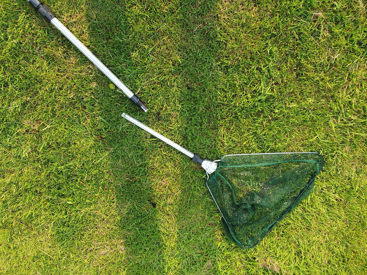 Becky Marsden tweet media