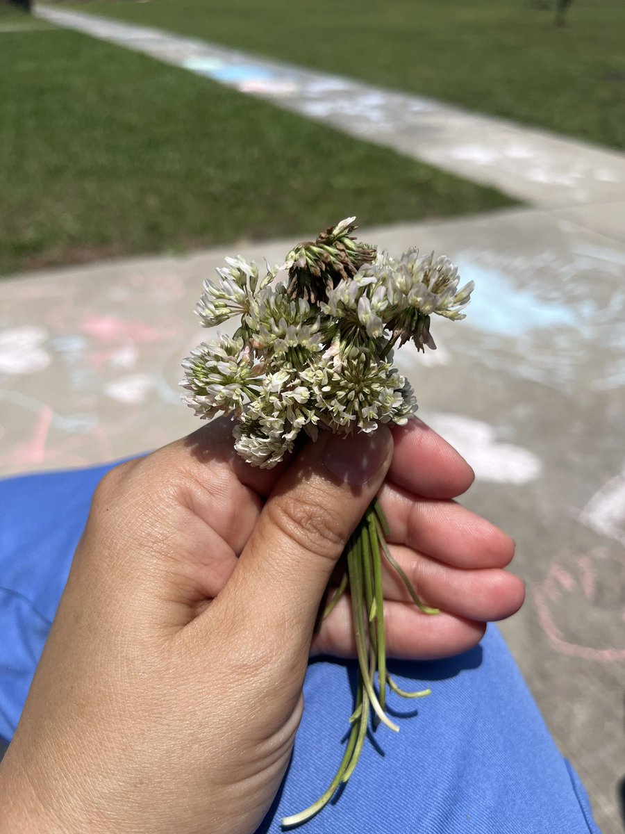 Chalk Day!! And it ended with me getting a bouquet of flowers. I love these kiddos! #CELEBRATEtheendoftheyear 
#Cforchalkday