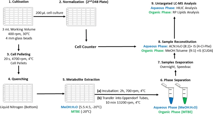 ESchymanski's tweet photo. Super #proudPI tonight to see Lorenzo's work with Carole Linster and @coreymgriffith now published - high throughput stable labeling approach for untargeted metabolomics in yeast, all data in @GNPS_UCSD and more! 
@lcsb_uni_lu @uni_lu @FnrLux #OpenScience

https://t.co/ZW7IP8Lk9S https://t.co/8uq0bAkxNY