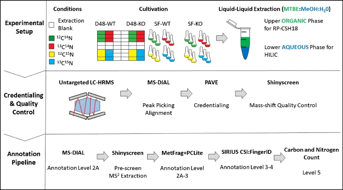 ESchymanski's tweet photo. Super #proudPI tonight to see Lorenzo's work with Carole Linster and @coreymgriffith now published - high throughput stable labeling approach for untargeted metabolomics in yeast, all data in @GNPS_UCSD and more! 
@lcsb_uni_lu @uni_lu @FnrLux #OpenScience

https://t.co/ZW7IP8Lk9S https://t.co/8uq0bAkxNY