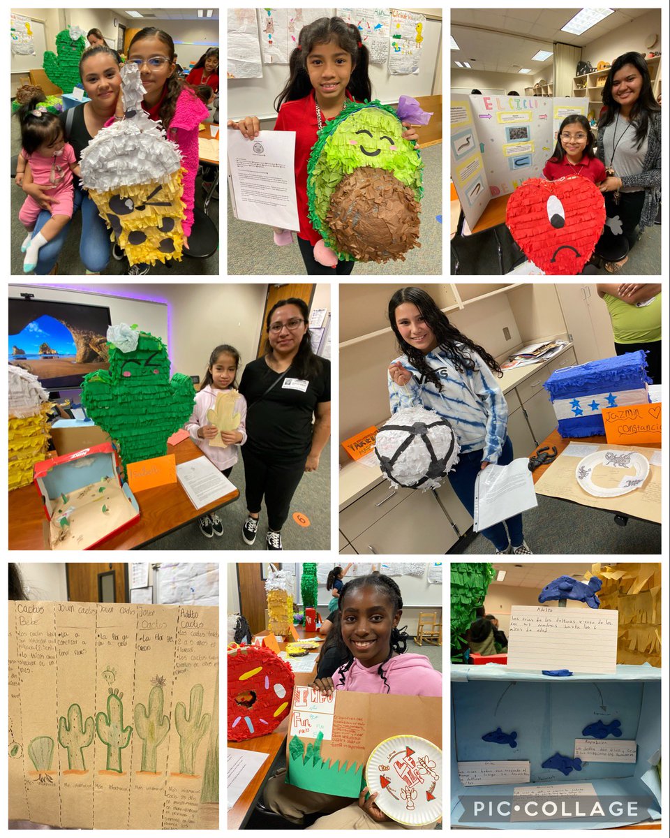 DrTLSha's tweet photo. Wow!!! Our Two-Way Dual Language Showcase was very successful! Our 4th graders showcased their procedural text &amp; how to make adorable piñatas 🪅 and science research projects about the life cycle of their animals…in Spanish!🐴💚❤️💛💙 @ICMustangsGrow Ms. Pizano and Ms. Garcia! https://t.co/H95tfYpqXb