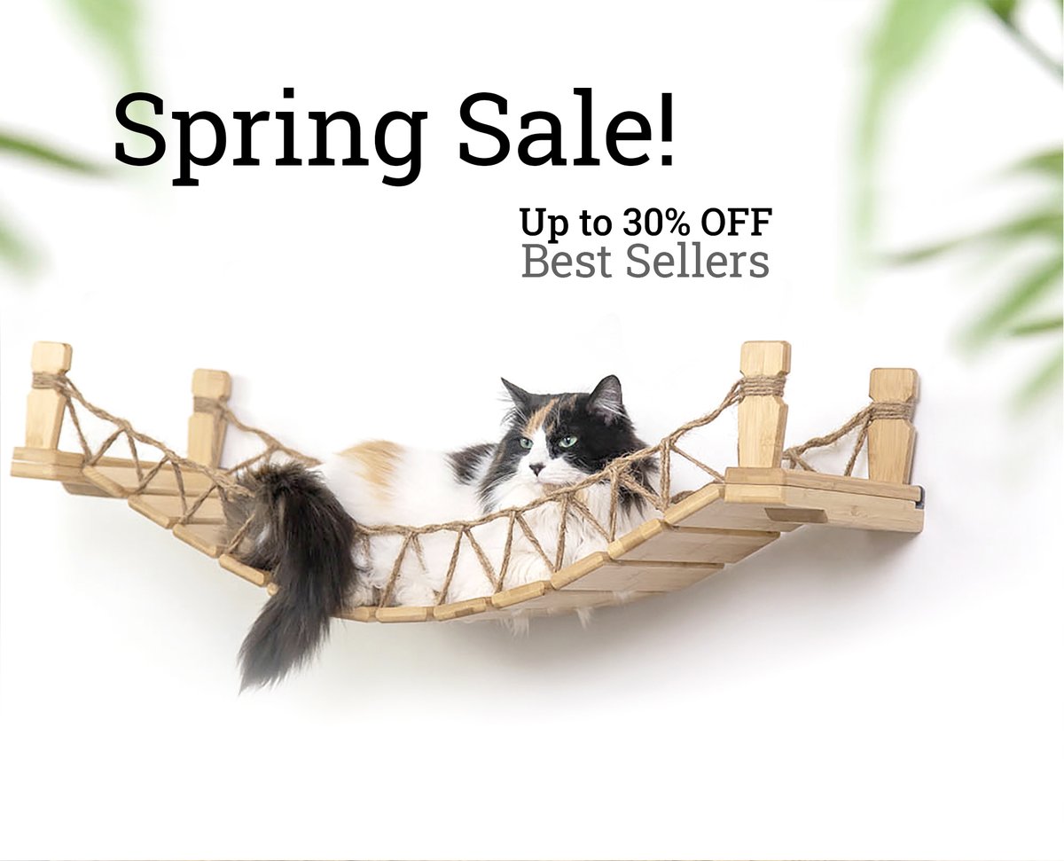 CataCreations's tweet photo. Spring Sale! This event starts now and ends at midnight on Memorial Day. Head over and take up to 30% off our most popular items in the shop.
https://t.co/rYc1DodpX5 https://t.co/8tgVuagOuw
