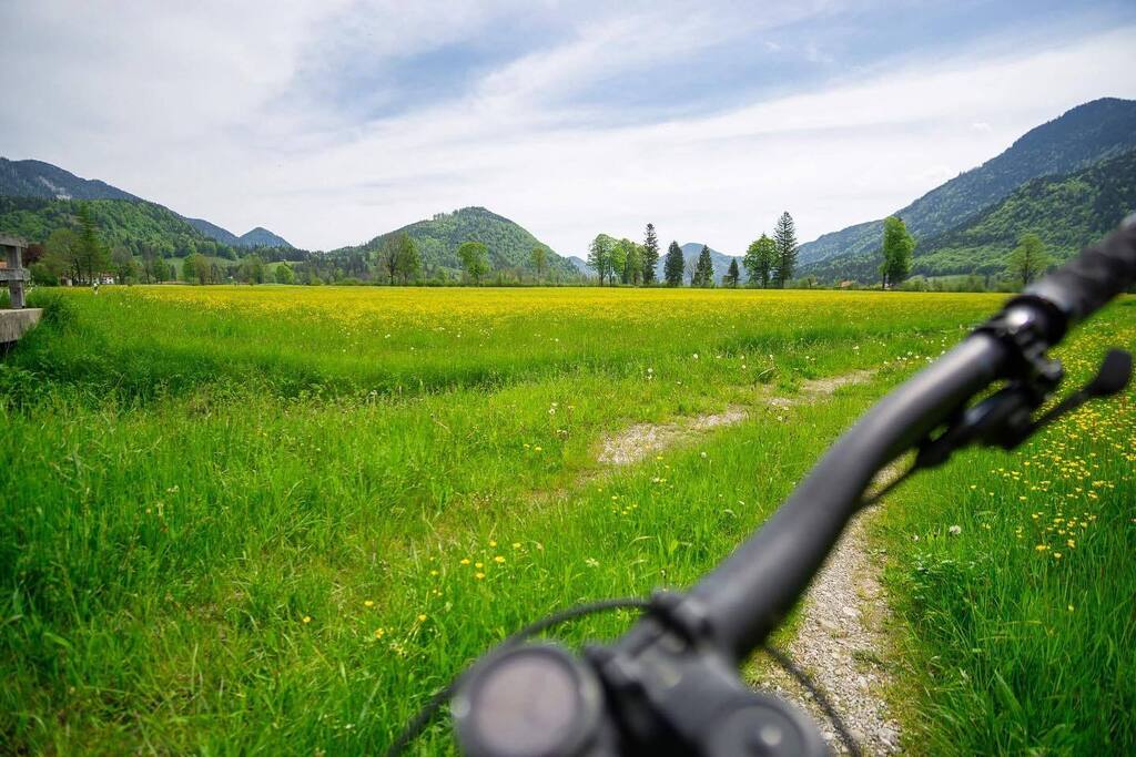 federwegblog's tweet photo. Erste Bike-Tour im Alpenvorland in 2023:
🚉Eschenlohe ➡️ Walchensee ➡️ Jachenau ➡️ Lenggries 🚉
🔗 Link zur Tour in der Bio
#jachenau #bavaria #mtb #mtblife #mtblove #mtbpictureoftheday #mtblifestyle #mtbphotos #mtbtrail #cycling #mountainbike #mounta… https://t.co/eoBwGN6AqV https://t.co/VrC0O2Qgl9