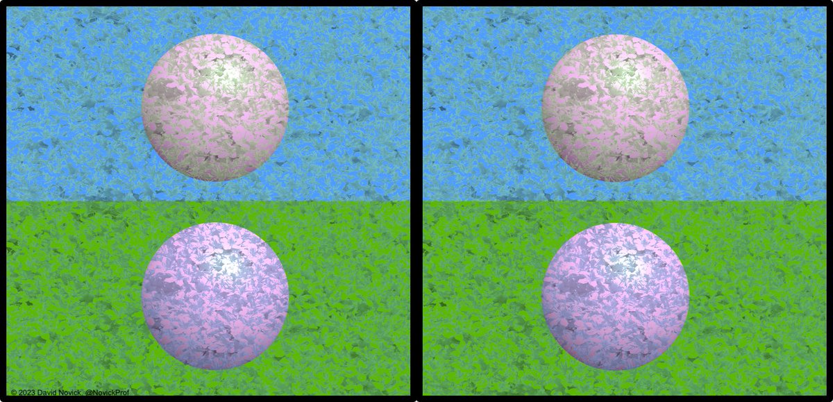 David Novick tweet media