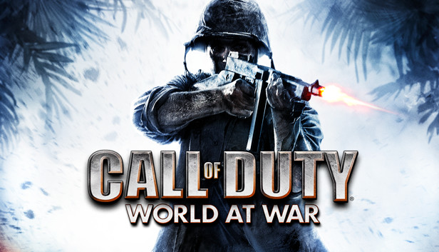 If Activision goes after <a href="/PlutoniumMod/">Plutonium Project</a> next then there will be no safe way to play Black Ops 1, Black Ops 2, Modern Warfare 3 or World at War online anymore.