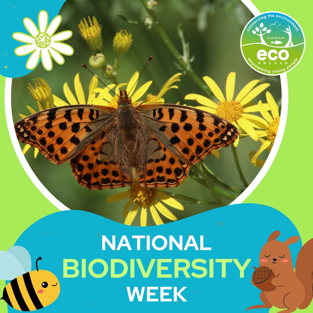 It’s National Biodiversity Week!
From the 19th – 28th of May, National Biodiversity Week is all about connecting people with nature. It’s about communicating the importance of biodiversity and motivating people to play their part in protecting it. 
#BiodiversityDay2023