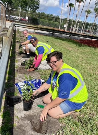 CoxEnterprises's tweet photo. Butterflies are significant contributors to pollination and essential for building back biodiversity. Our @Manheim_US employees in Orlando recently built a green garden for butterflies &amp; employees to enjoy! #InternationalDayForBiodiversity #Cox34by34 #PurposeAtCox #CoxConserves https://t.co/seerQL5AXE