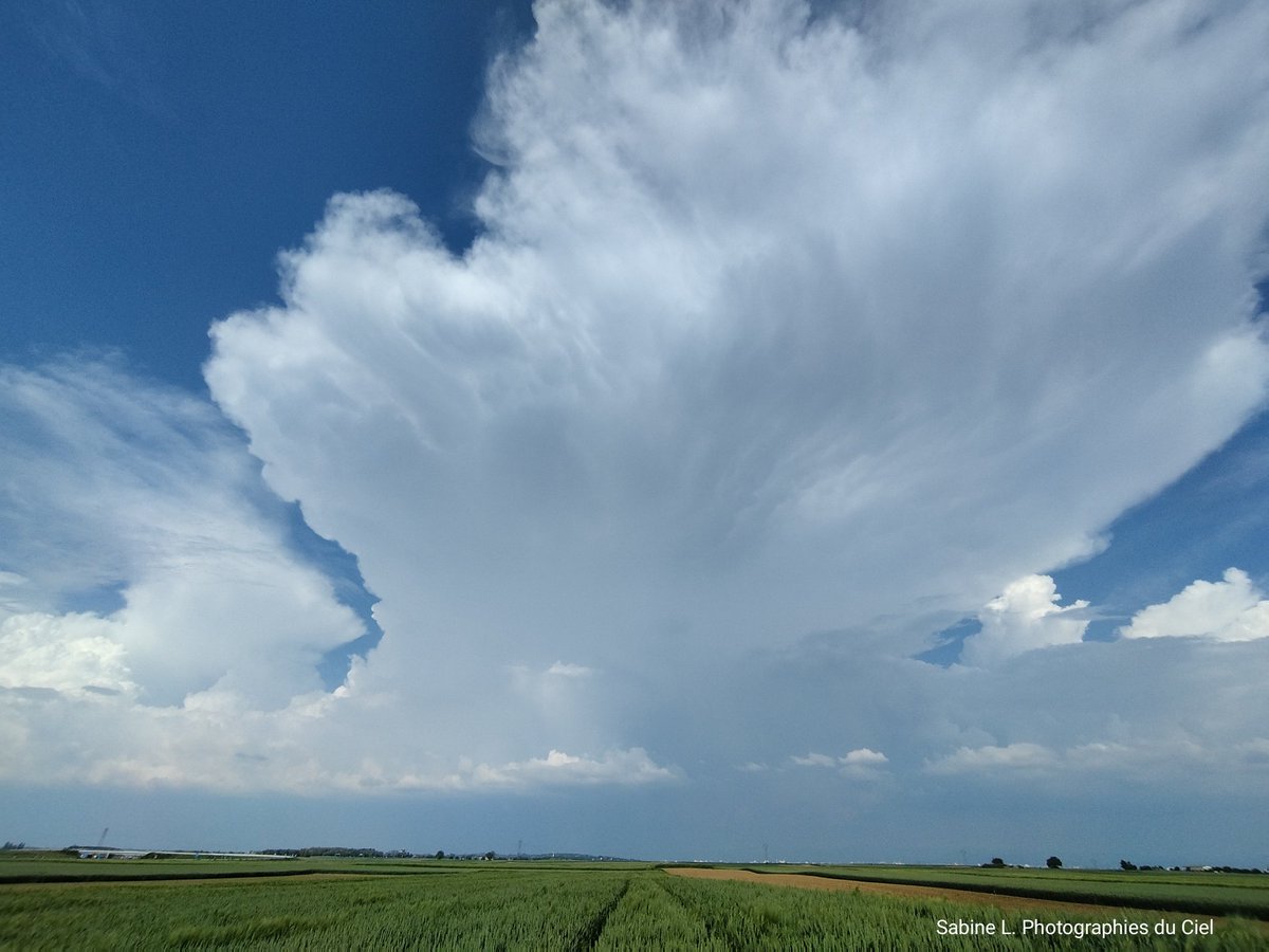 SabineL67's tweet photo. Cellules orageuses sur le Nord de l'Alsace cet après-midi (secteur #Reichshoffen et #Offendorf)
🌡️30⁰C 
📷 Geispolsheim
📷 Holtheim
📷 Ittenheim

#Alsace #BasRhin #Météo #Météo67 https://t.co/jHMjpnL46u