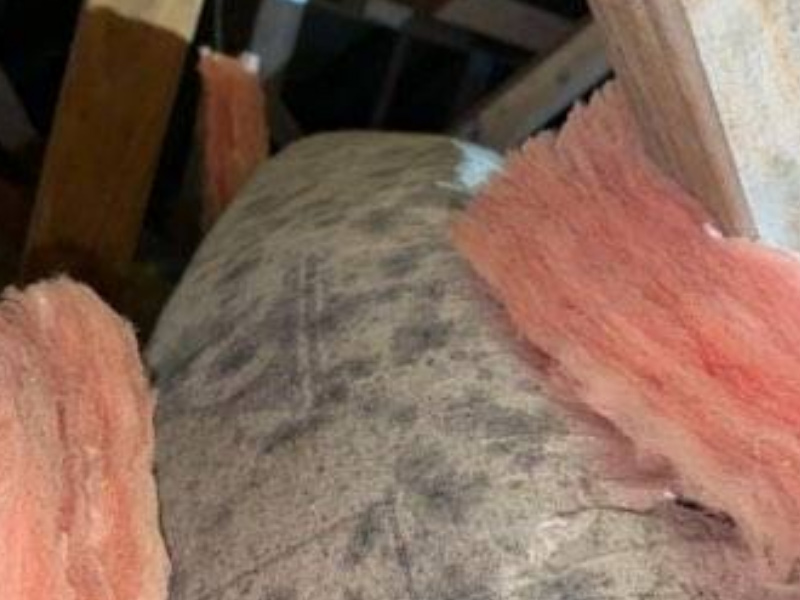 callcleanpro's tweet image. HVAC Mold Removal 03  #cleanpro #cleanprorestoration