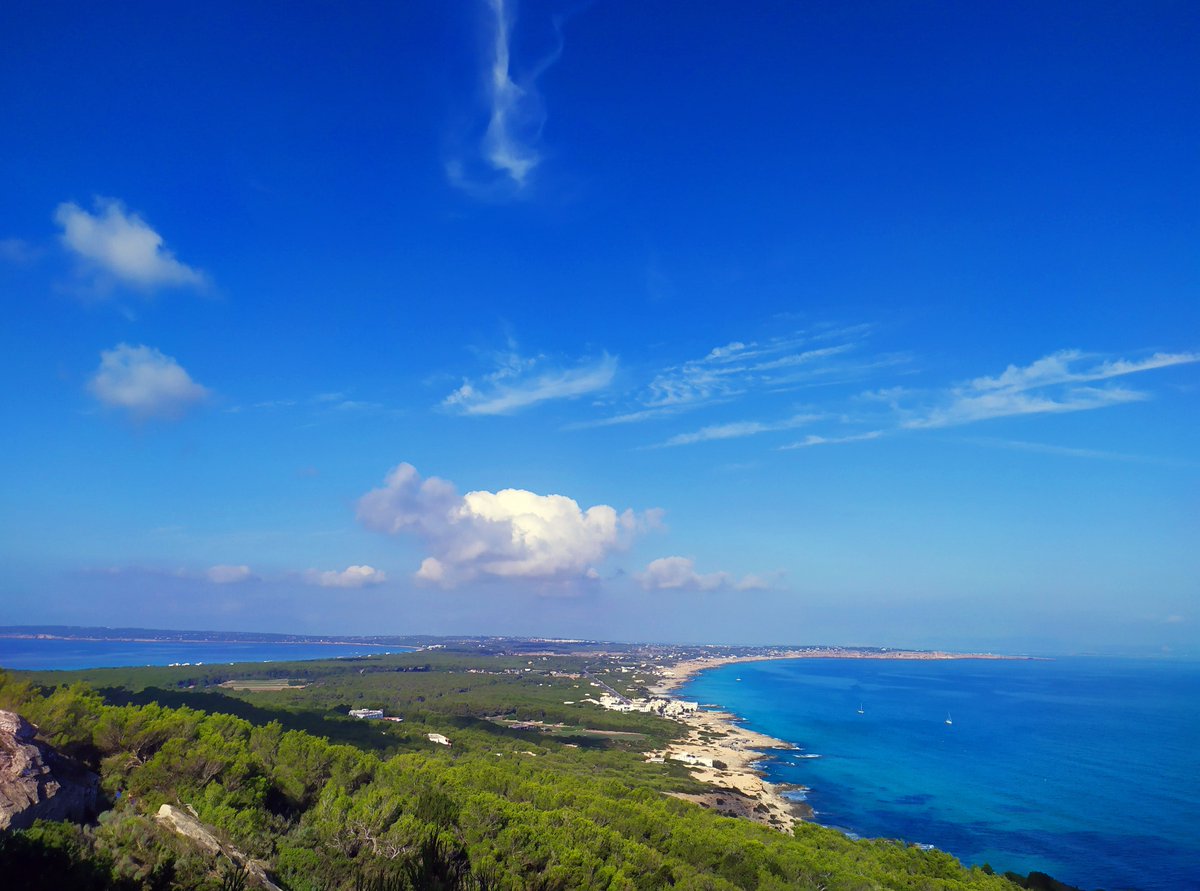 BalearicTour's tweet photo. The Camino Sa Pujada of #Formentera (or Camí Romà) is one of the most beautiful historical routes on the island. It was declared an Asset of Cultural Interest👏🏻

It is said to be the oldest road on the island📆
📍With 4 km, it starts in Es Caló and ends in El Pilar de la Mola https://t.co/9TSNdhBHGM