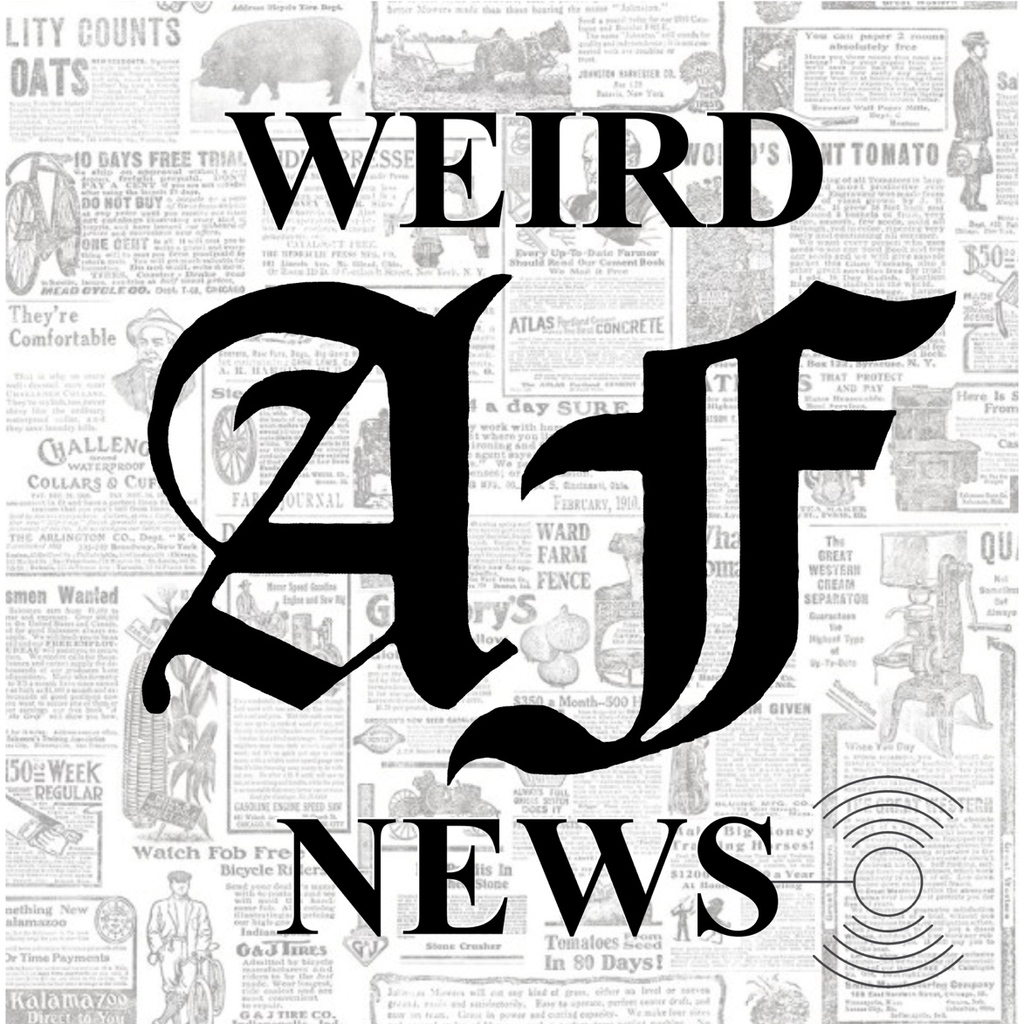 WeirdAFNews's tweet photo. Check out the NEW episode of Weird AF News podcast and get your daily comedy news fix - https://t.co/0BG4wfFDcq https://t.co/ZpEpW996ZF