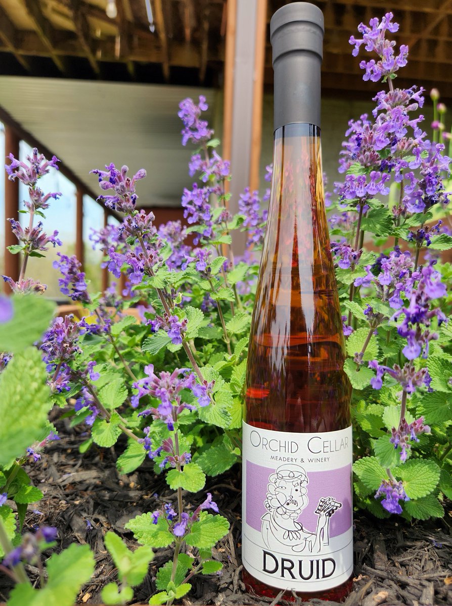 The long-awaited return of Druid is almost here! Bottles will be available during our Seasonal Release this Saturday, May 27th, and in the tasting room following the event (while supplies last).