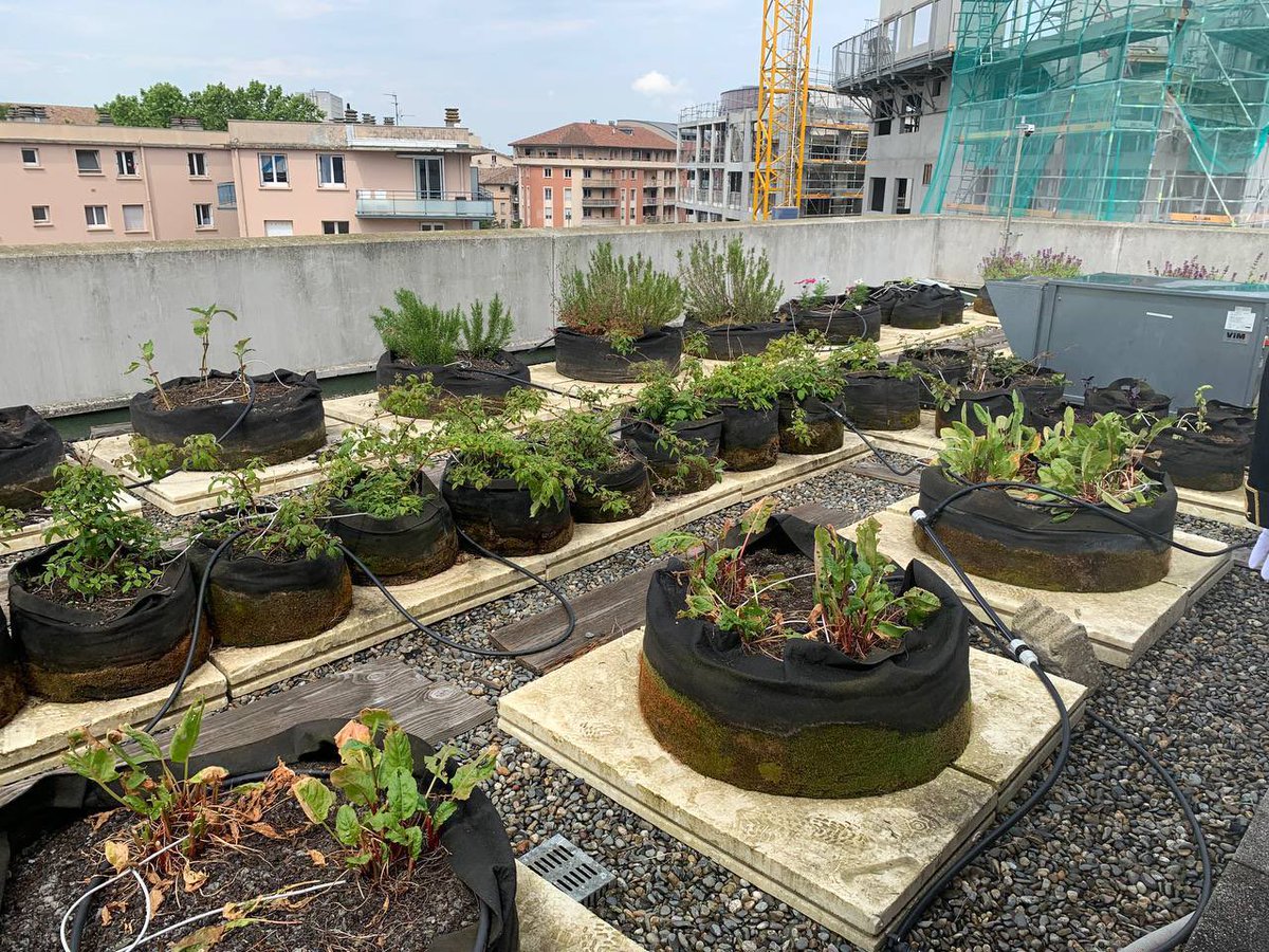 À Toulouse, la Clinique Pasteur repense les espaces et les usages 🪴 Au cœur de la ville, perché sur le toit de l’établissement se niche un… jardin potager ! 🥕 Plus innovant encore, l’établissement appartient entièrement à ses médecins…🧑‍⚕️ Un exemple inspirant !