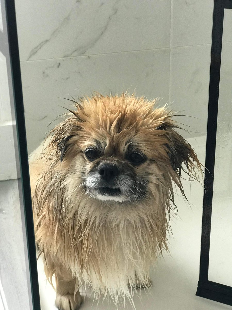 How yall feeling about Monday? #Mondayblues