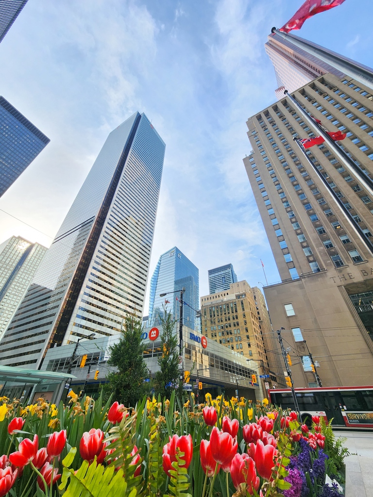 MyTOFD's tweet photo. Happy Victoria Day! 🎉 🍁 #VictoriaDay2023 #lovetoronto https://t.co/FhItJbul1n