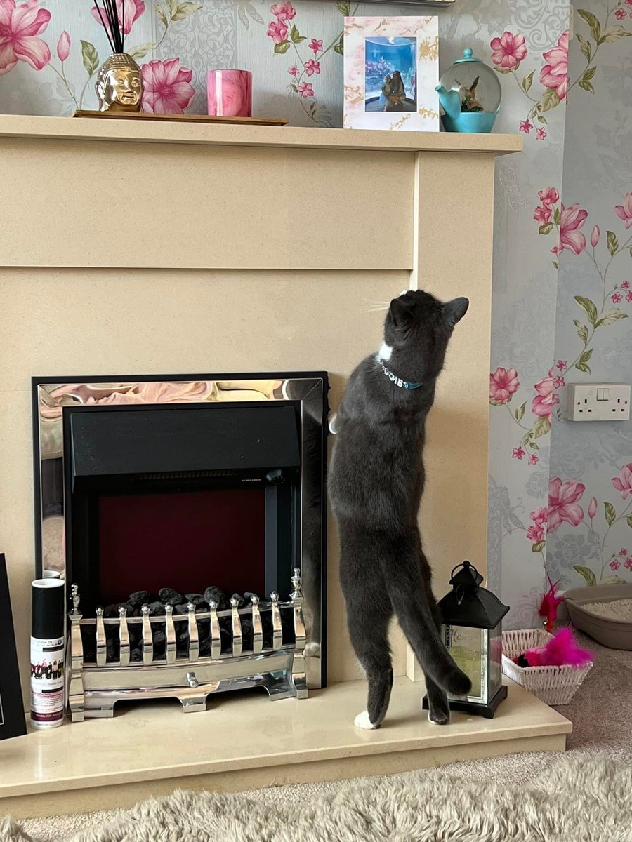 EvaCatherine14's tweet image. 