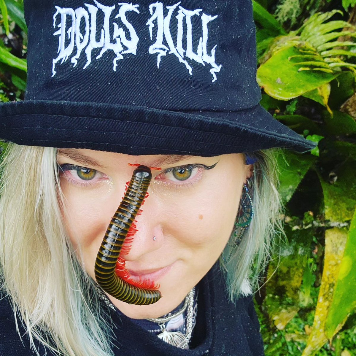SciBugs's tweet photo. #FaceBug with this beautiful millipede from WildSumaco Ecolodge, Ecuador.  They can release a brown liquid containing benzoquinones but not at high enough concentrations to normally affect people. https://t.co/ymh2nNycxd