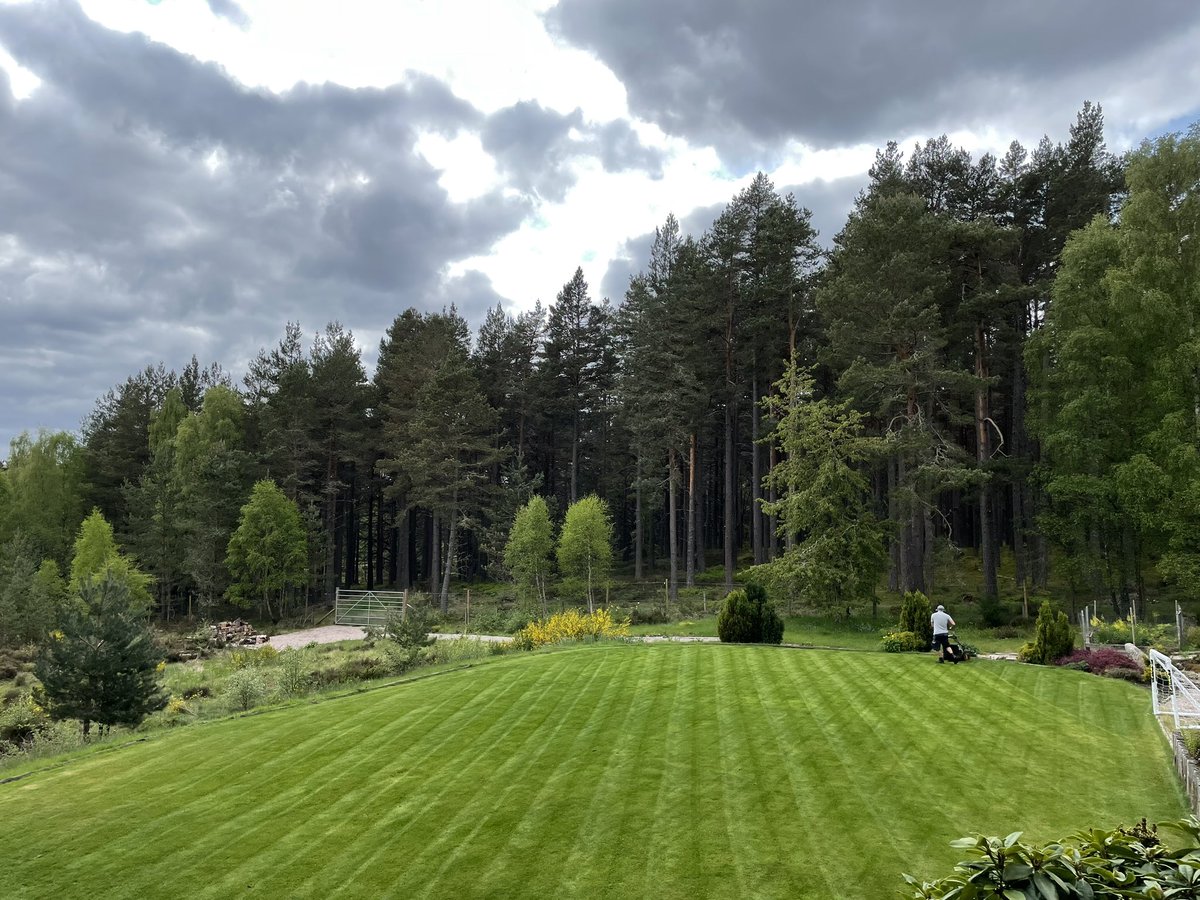aanddgardens's tweet photo. Nice to see our Coldstart fertiliser from @rigbytaylor_ kicking in nicely on this garden 🌱 @IanScottOAS https://t.co/hJe8h230gF