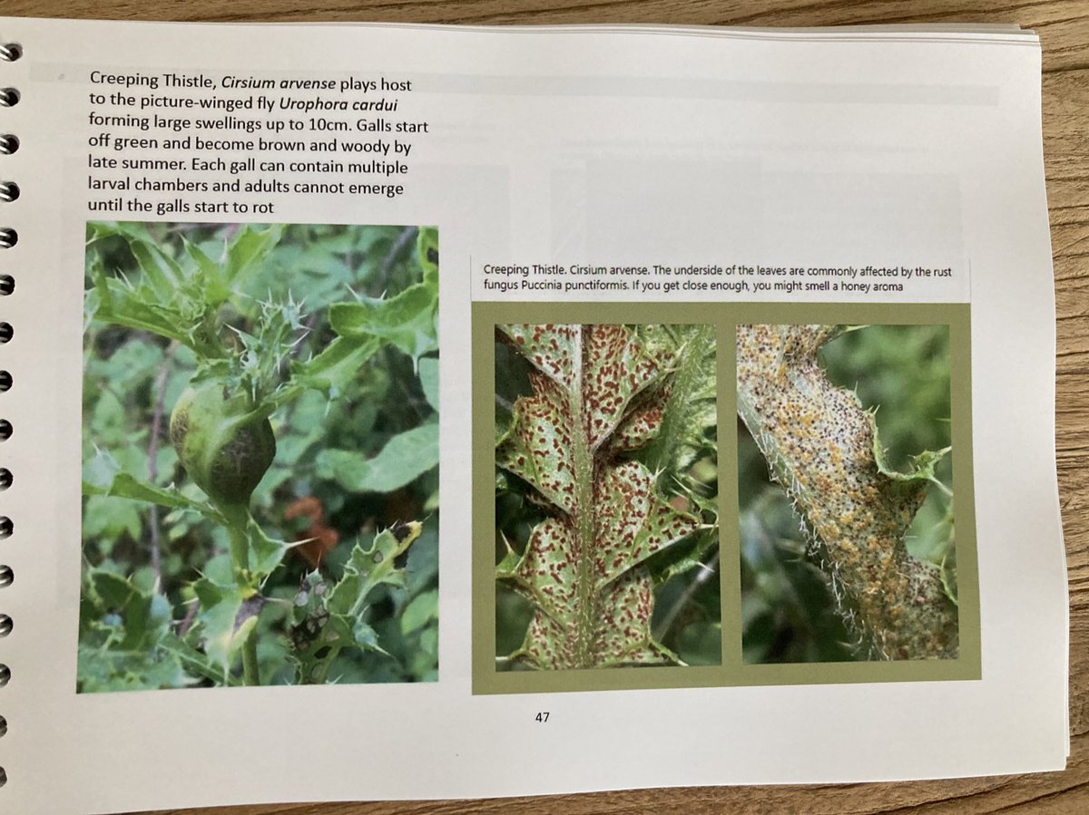 Big Meadow Search (@bigmeadowsearch) on Twitter photo 2023-05-22 18:14:38 Big Meadow Search Book. As we sold our first batch of books quite quickly and feedback has been positive, we have done another print run. If you would like a copy please contact bigmeadowsearch@gmail.com Β£10 + Β£2.70 postage. BACS transfer preferred (cheque & PayPal also ok) Big Meadow Search Book. As we sold our first batch of books quite quickly and feedback has been positive, we have done another print run. If you would like a copy please contact bigmeadowsearch@gmail.com Β£10 + Β£2.70 postage. BACS transfer preferred (cheque & PayPal also ok)