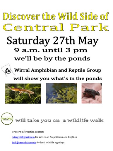 WirralARG's tweet photo. Not long to go, looking forward to speaking to people about pond life and more @CentralParkENG with @RECORDLRC https://t.co/kuDaBsQwM9