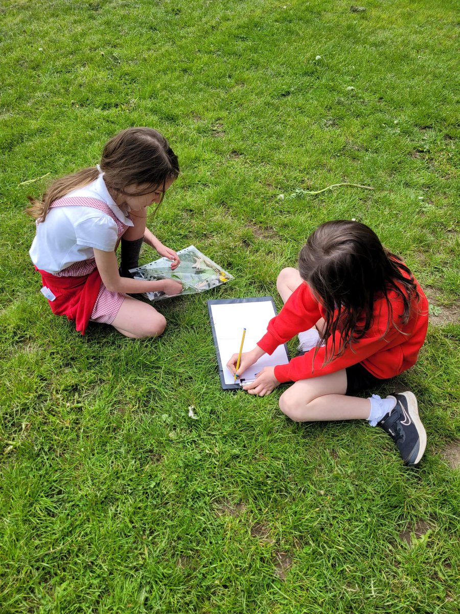 P3/4 using tally marks to count natural resources in the woods today for #OutdoorClassroomDay from Mrs McColm