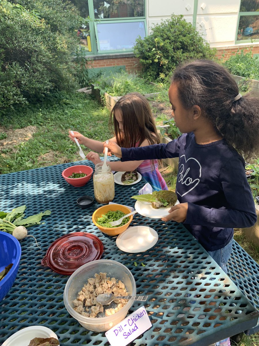 Campbell Elementary PTA (@campbell_pta) on Twitter photo #RT <a href="/CampbellAPS/">Maureen Nesselrode</a>: RT <a href="/nawazishtareen/">Mrs. Tareen</a>: Making and tasting lettuce wraps with ingredients grown in our gardens. <a href="/CampbellAPS/">Maureen Nesselrode</a> #RT <a href="/CampbellAPS/">Maureen Nesselrode</a>: RT <a href="/nawazishtareen/">Mrs. Tareen</a>: Making and tasting lettuce wraps with ingredients grown in our gardens. <a href="/CampbellAPS/">Maureen Nesselrode</a>