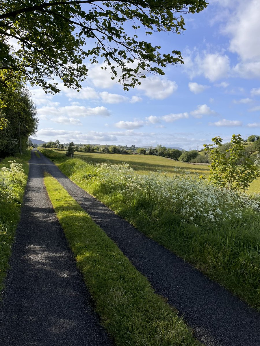 Beautiful evening walk, West Cavan in early summer sun.