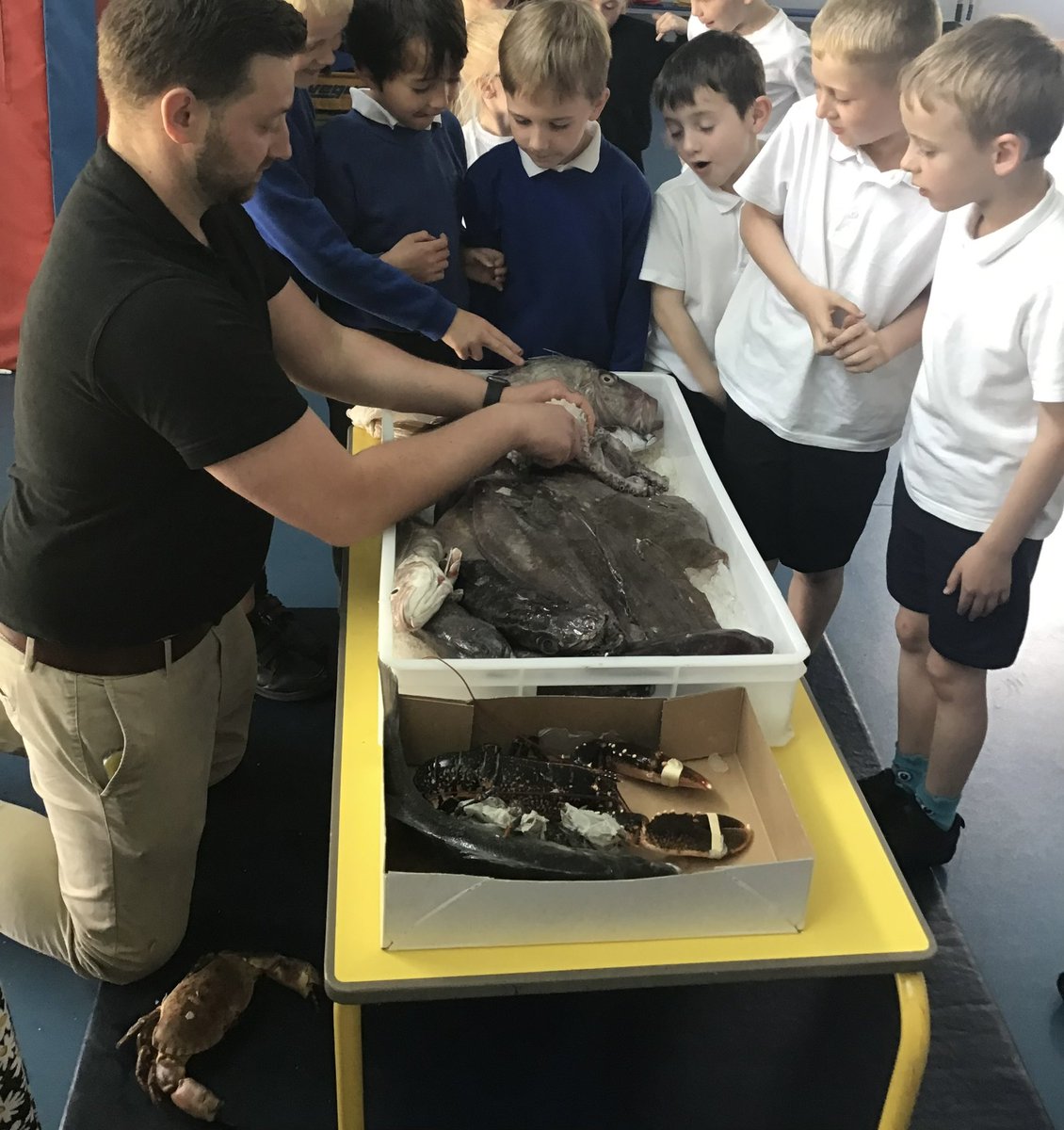 Owston Park Primary Academy tweet media